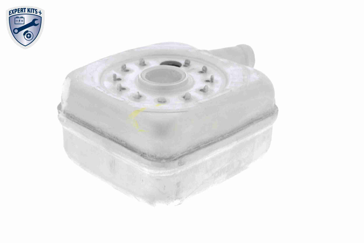 Oil Cooler, engine oil - V15-60-6011
