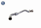 Radiator Hose - V20-1778