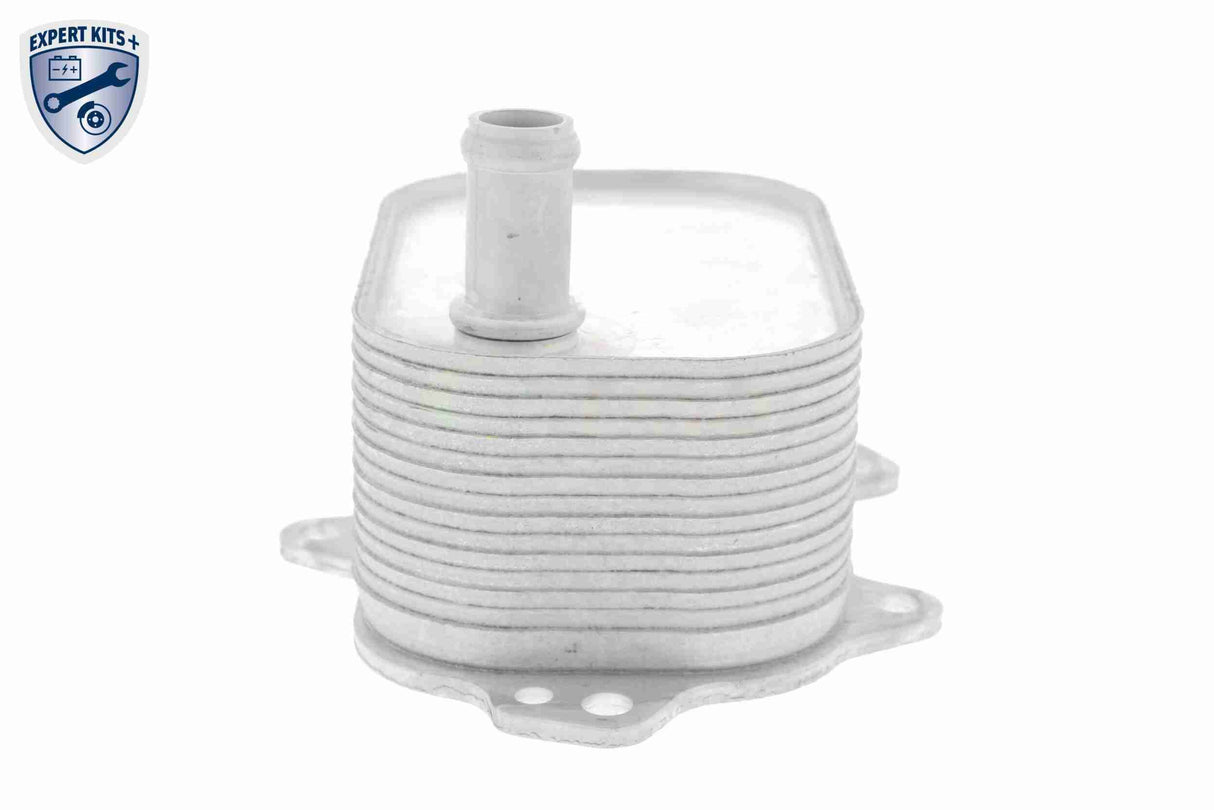 Oil Cooler, engine oil - V15-60-6088