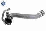 Radiator Hose - V20-2674