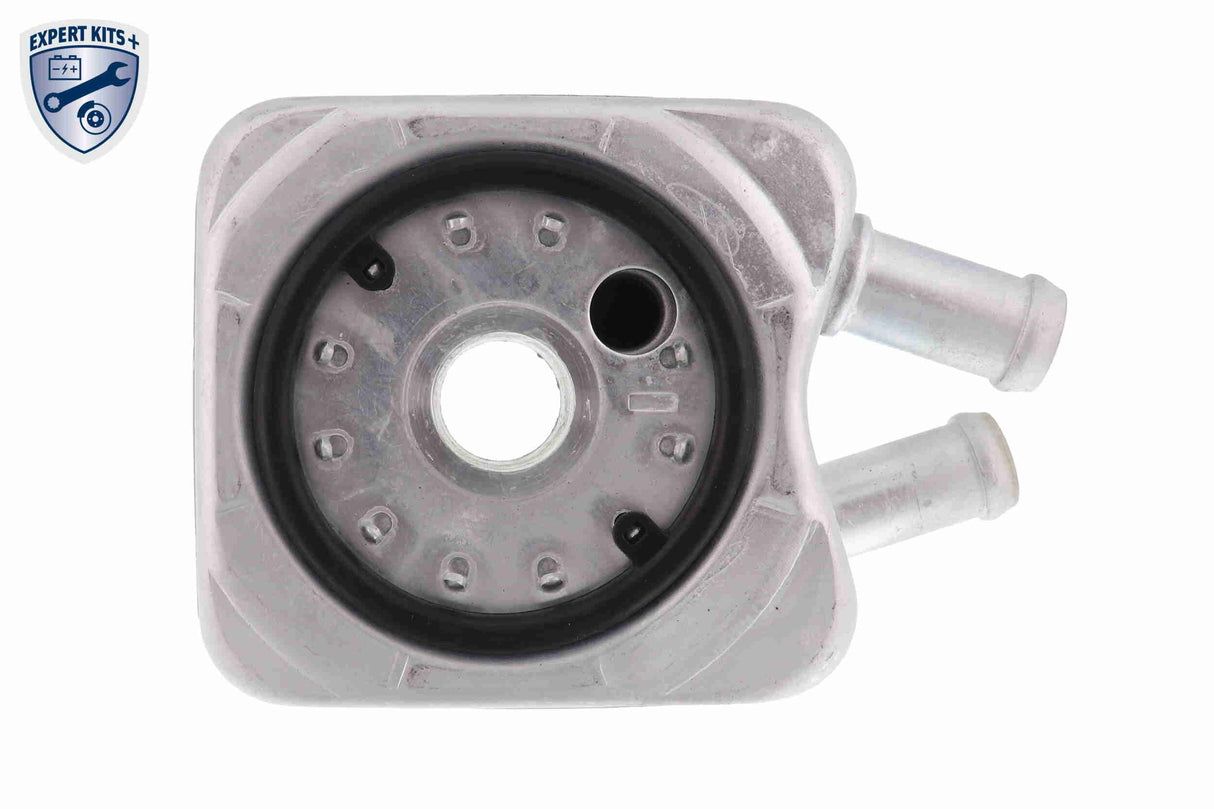 Oil Cooler, engine oil - V15-60-6010