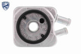 Oil Cooler, engine oil - V15-60-6010