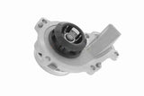 Water Pump, engine cooling - V42-50001