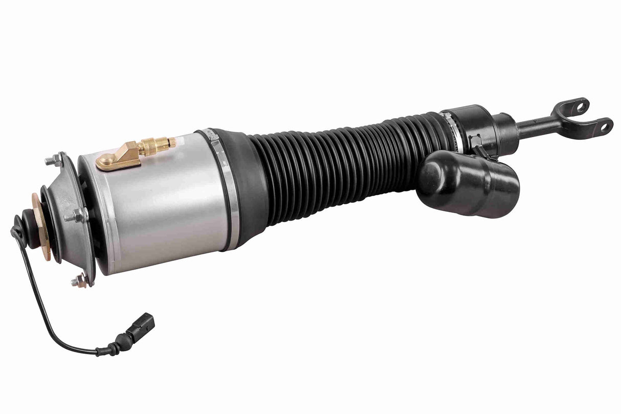 Air Suspension Strut - V10-50-0018