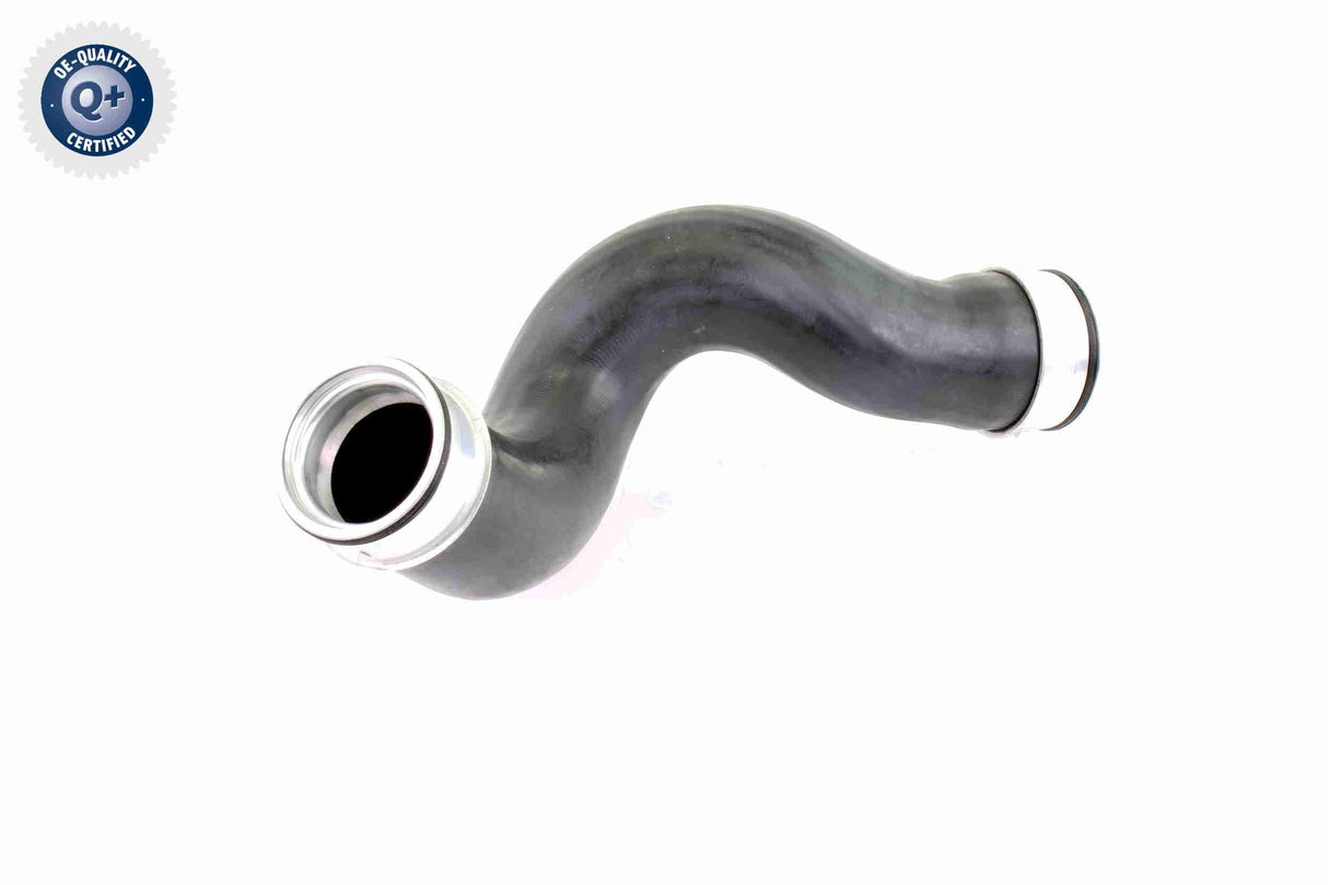 Charge Air Hose - V10-3815