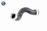 Charge Air Hose - V10-3815