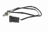 Oxygen Sensor - V24-76-0014