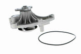 Water Pump, engine cooling - V20-50045