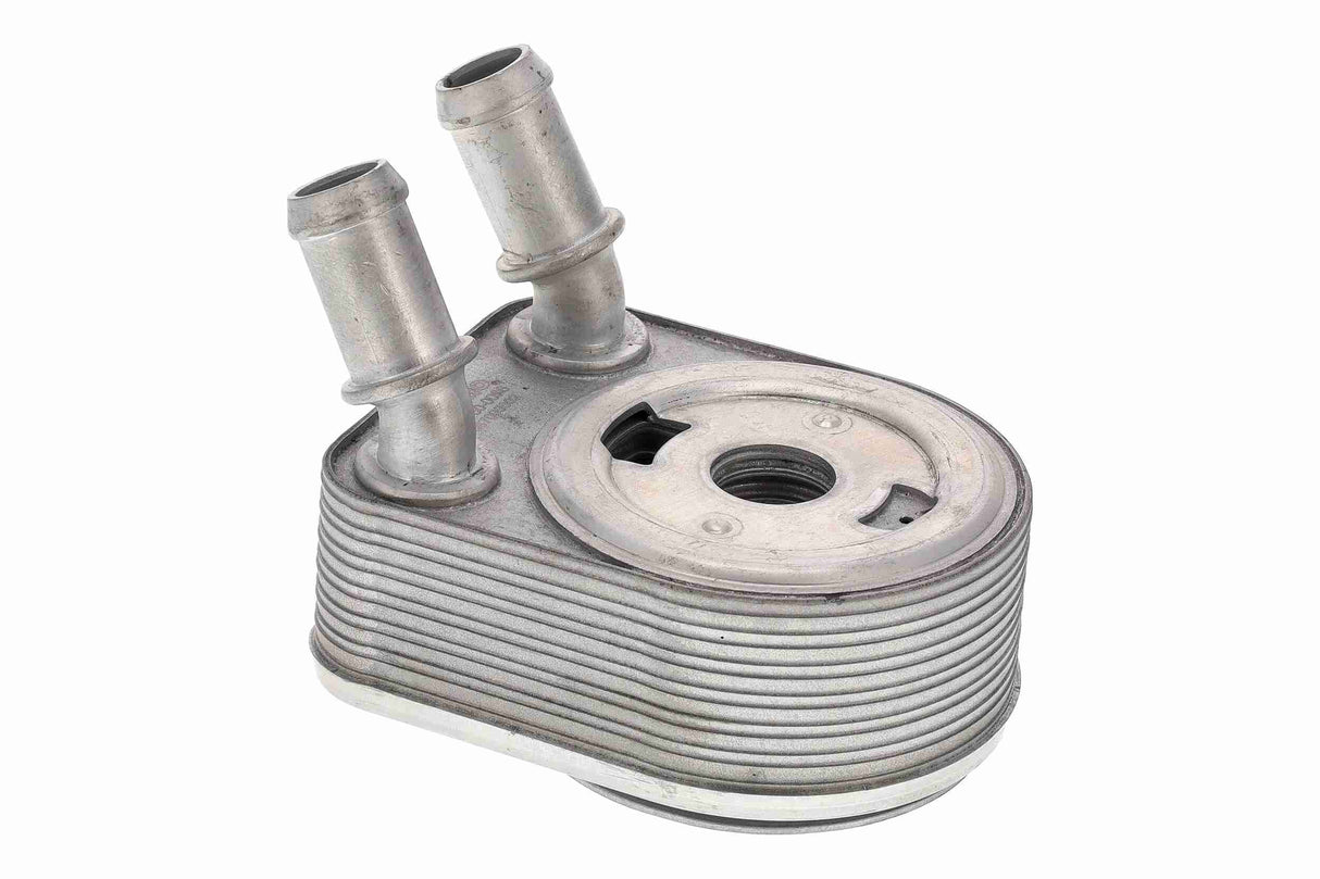 Oil Cooler, engine oil - V25-60-0096