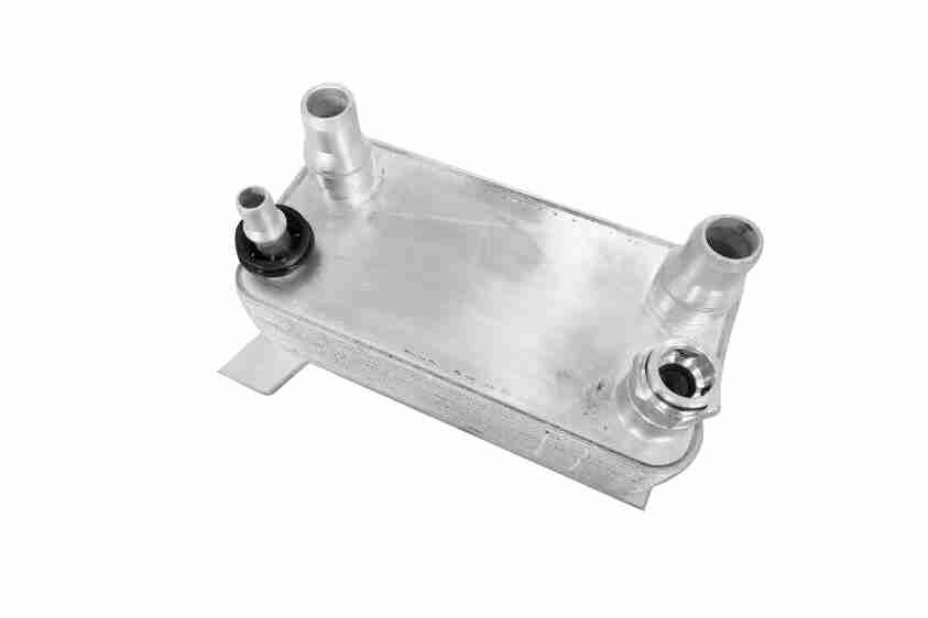 Oil Cooler, engine oil - V30-60-1355