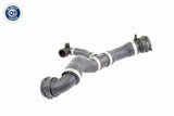 Radiator Hose - V20-1292
