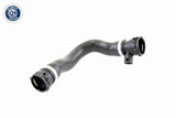 Radiator Hose - V20-1460