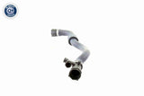Radiator Hose - V20-1778