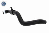 Radiator Hose - V42-0836