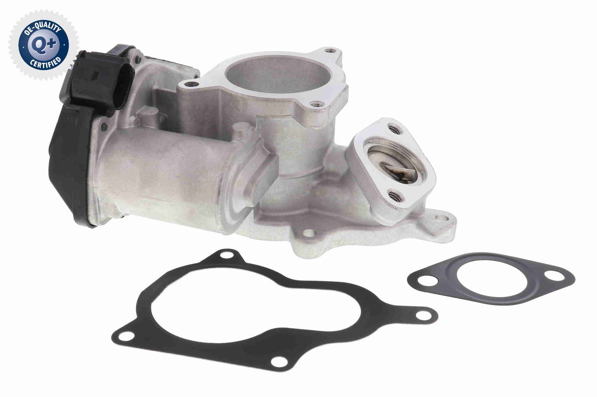 Valve, exhaust gas recirculation - V10-63-0009