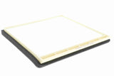 Filter, cabin air - V22-30-2020