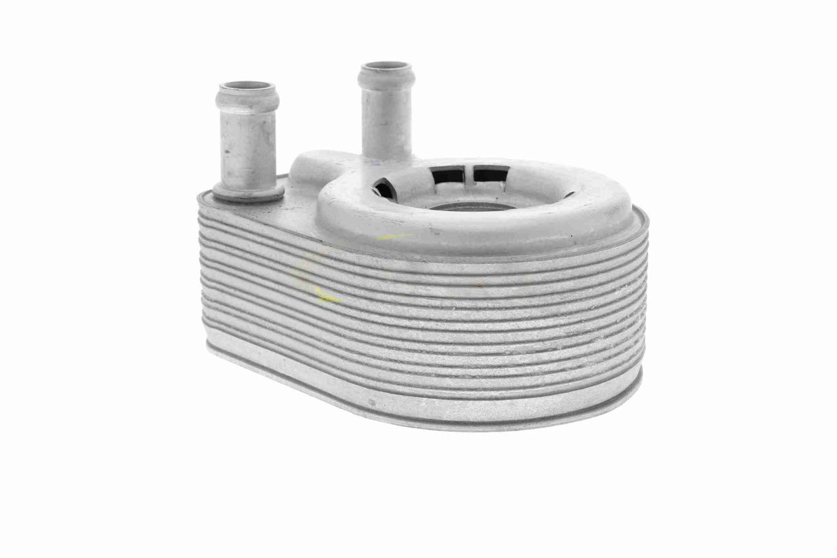 Oil Cooler, engine oil - V25-60-0043