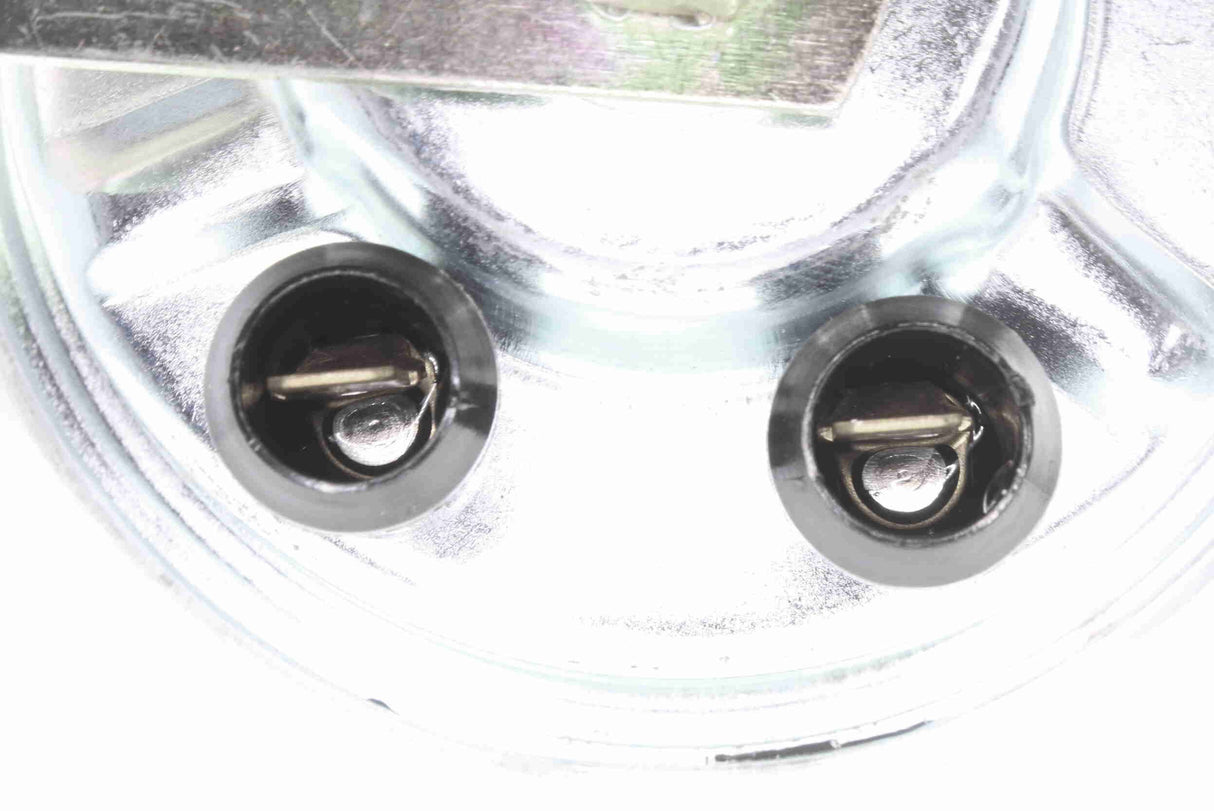 Signal Horn - V10-77-0916