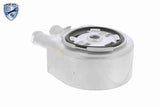 Oil Cooler, engine oil - V25-60-0034