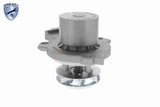 Water Pump, engine cooling - V10-50103
