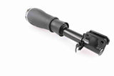 Air Suspension Strut - V48-50-0001