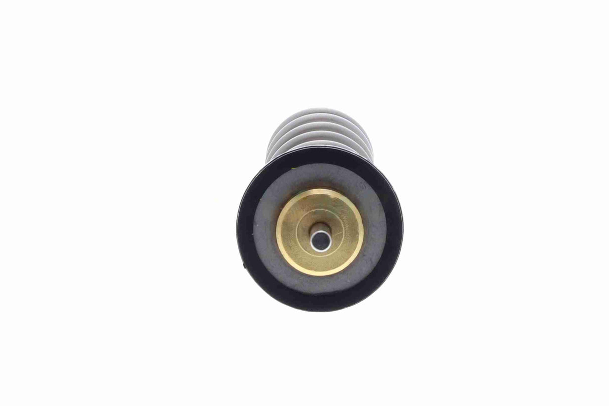 Thermostat, coolant - V95-99-0015