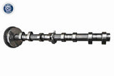 Camshaft Adjuster - V10-5584