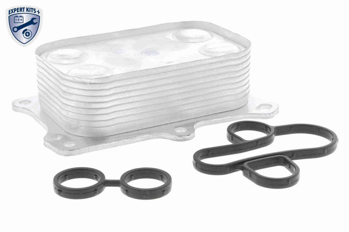 Oil Cooler, engine oil - V24-60-0014