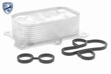 Oil Cooler, engine oil - V24-60-0014