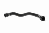 Radiator Hose - V20-3862