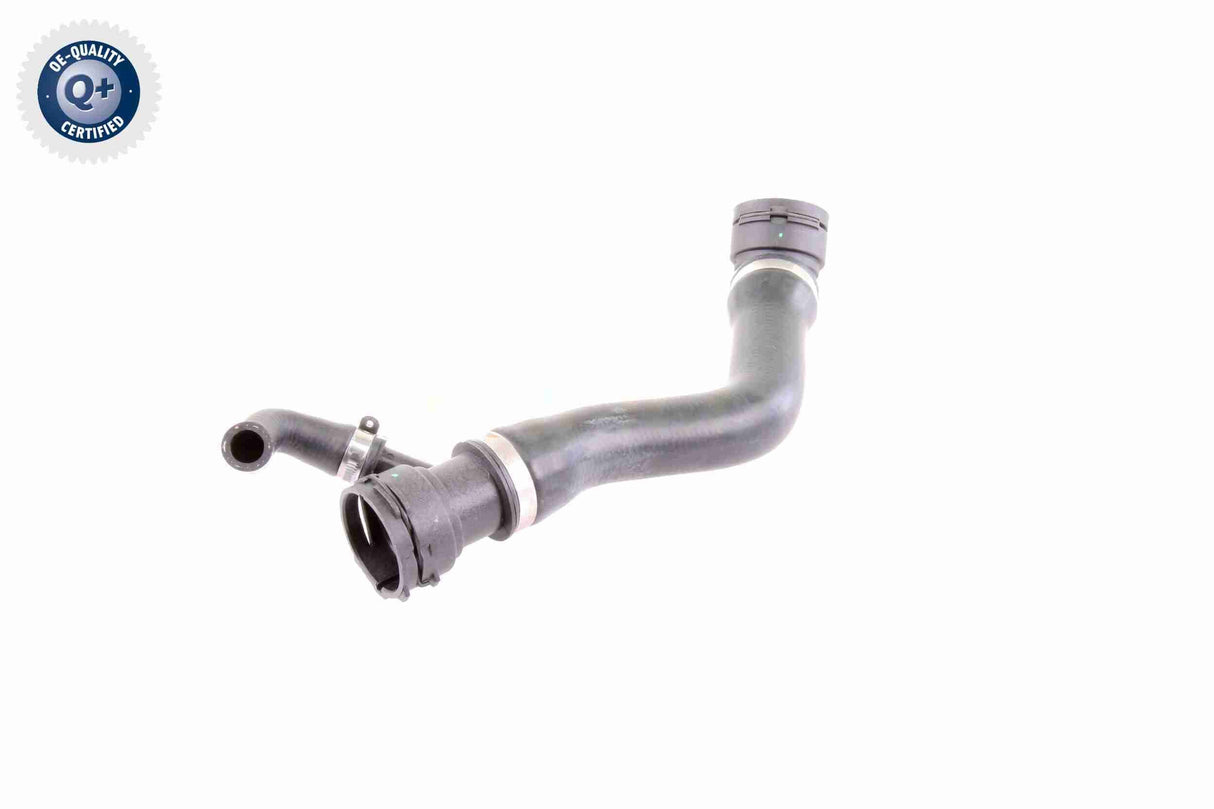 Radiator Hose - V20-1331