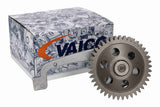 Oil Pump - V10-8614