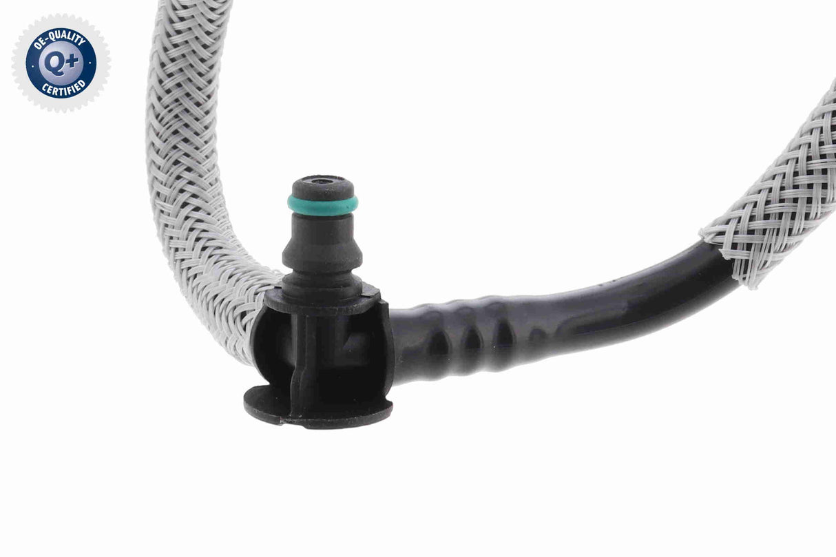 Hose, fuel overflow - V46-1209