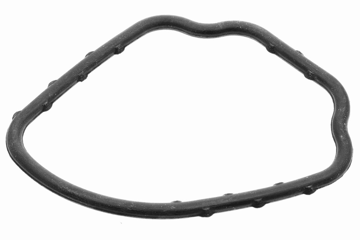 Seal, thermostat - V10-99-9001