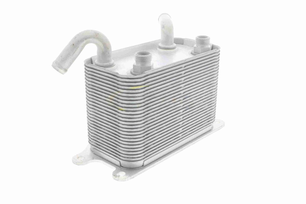 Oil Cooler, engine oil - V15-60-6067