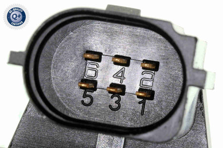 Throttle Body - V40-81-0021