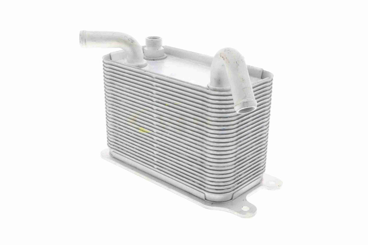 Oil Cooler, engine oil - V15-60-6067
