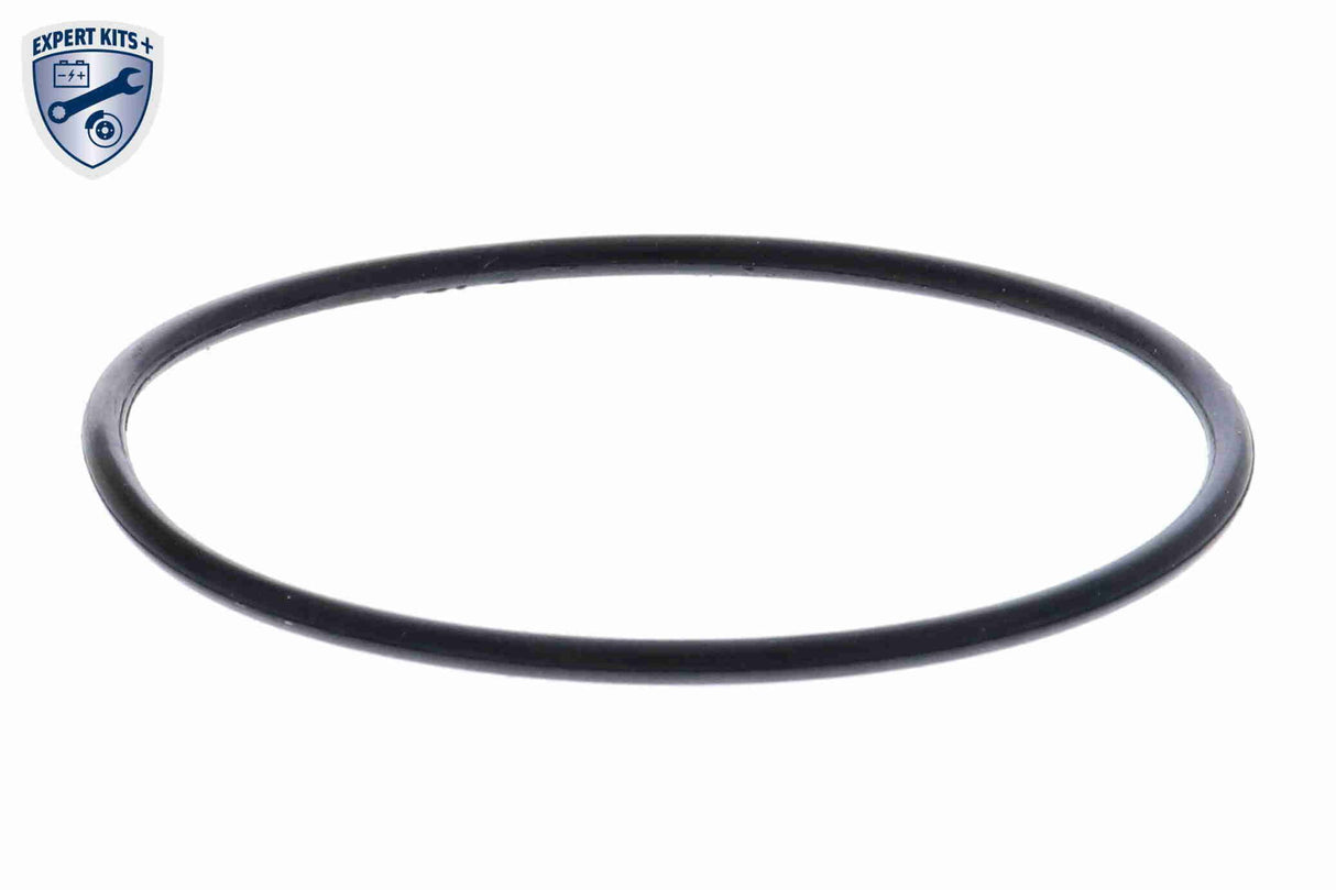 Thermostat, coolant - V20-99-0171