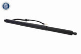Electric Motor, tailgate - V10-55-0042