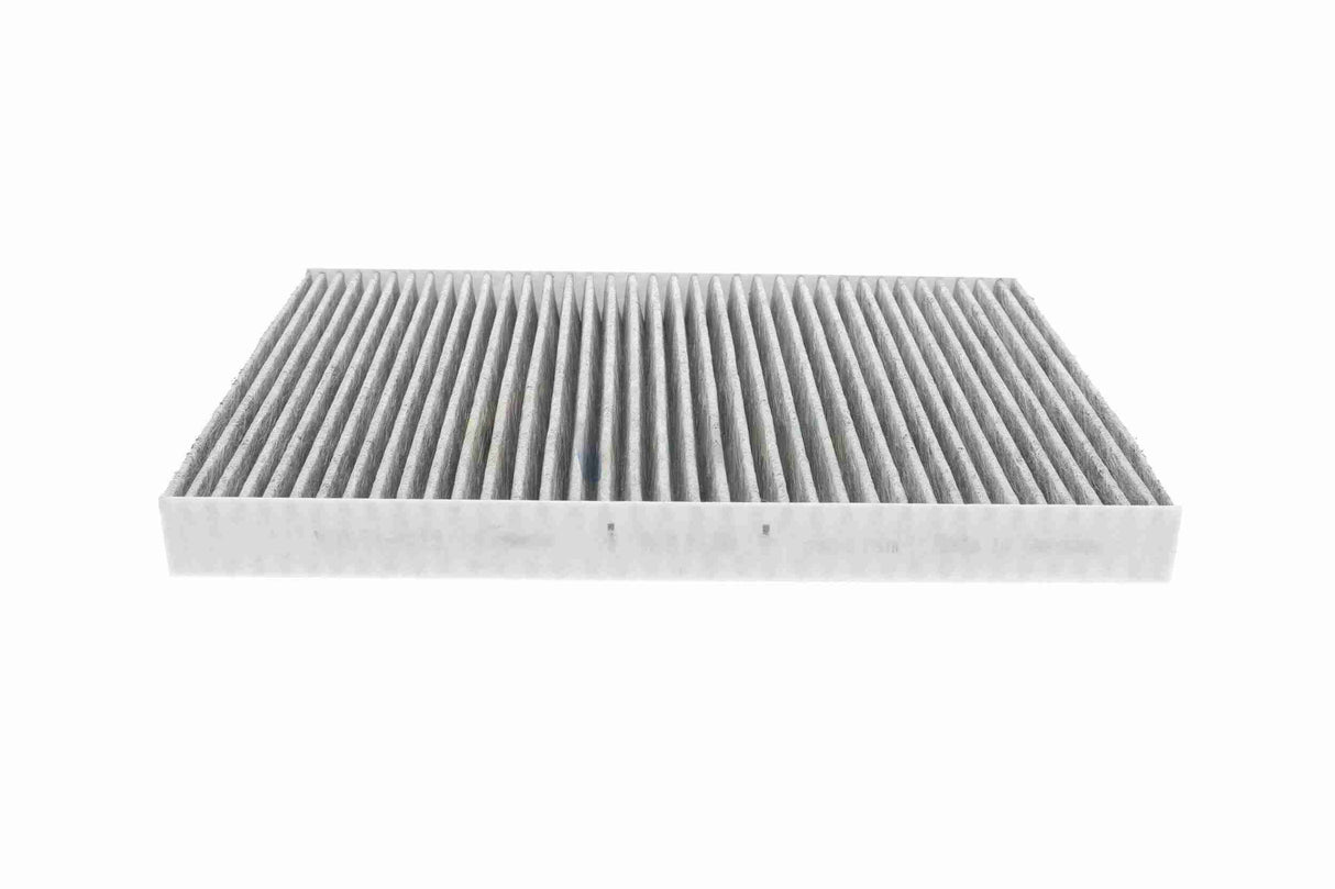 Filter, cabin air - V10-31-1013