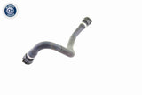 Radiator Hose - V20-1753
