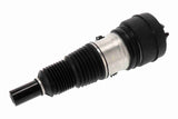 Air Suspension Strut - V10-50-0025
