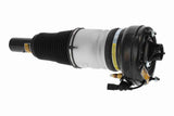 Air Suspension Strut - V15-50-0012