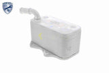 Oil Cooler, engine oil - V15-60-6018