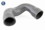 Charge Air Hose - V10-3821