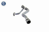 Radiator Hose - V20-1295