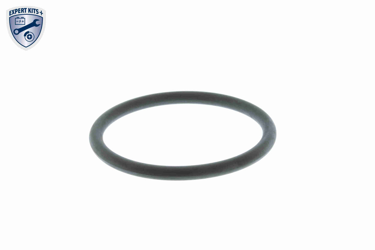 Thermostat, coolant - V15-99-2061