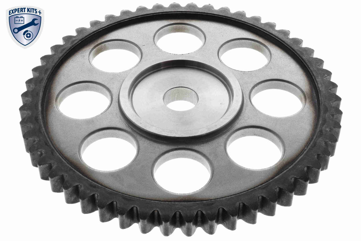 Timing Chain Kit - V10-10012-SP
