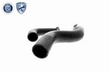 Charge Air Hose - V46-0829