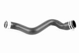 Radiator Hose - V30-1916